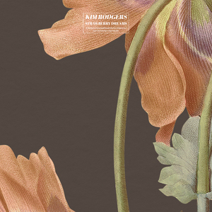 性爱大屌丰满爽视频
